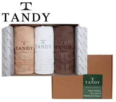 탠디 프리미엄패키지 윈도우 세면타올 3매세트